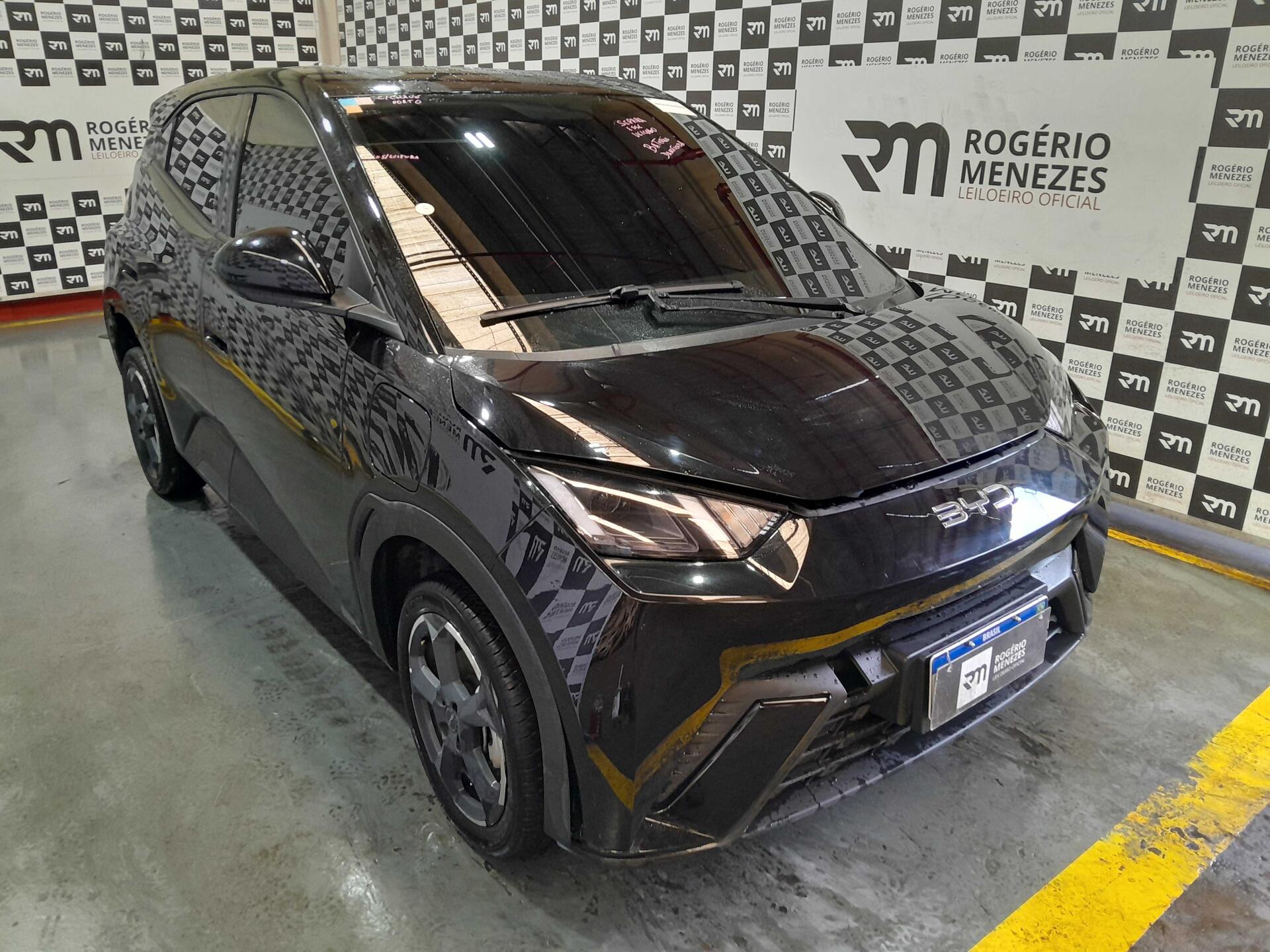 BYD DOLPHIN MINI 2025